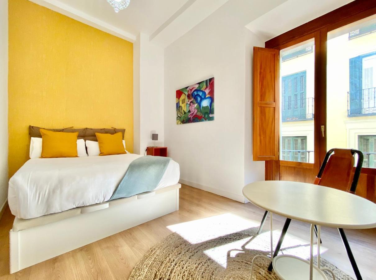 Apartamento Charming Opera Madri